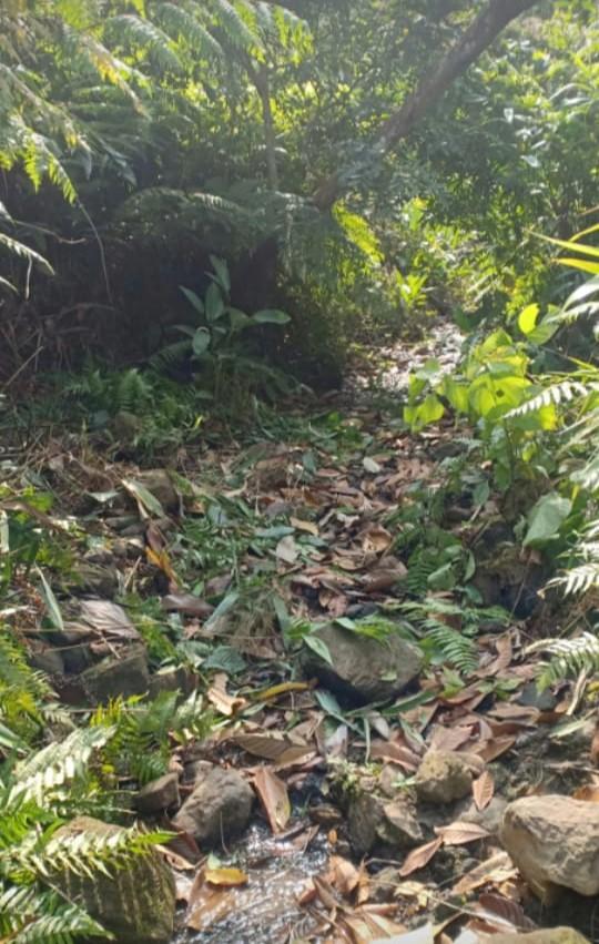 C:\Users\Lavinia Pde\Desktop\Mawker\head work\before (1).jpeg